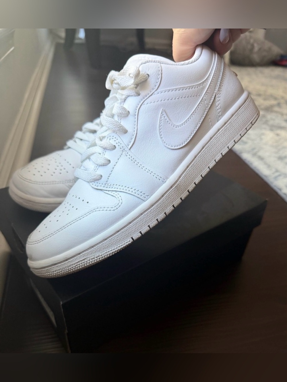 Jordan Low 1 Sneakers